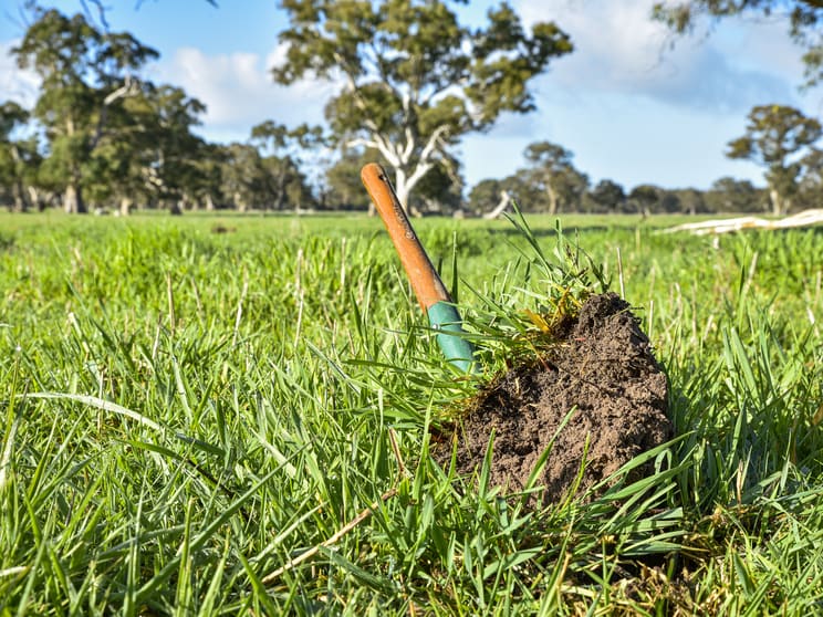 Click to view all images 344 Krongart Road Penola SA 5277 - Image 1