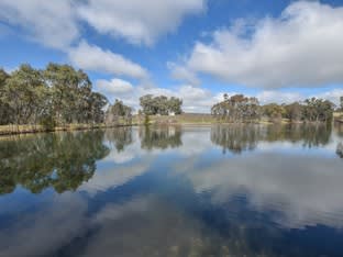 Click to view all images 99 Noonans Road Young NSW 2594 - Image 3