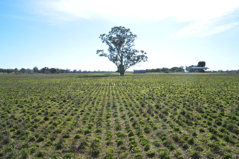 Click to view all images 2856 Olympic Highway Wagga Wagga NSW 2650 - Image 3