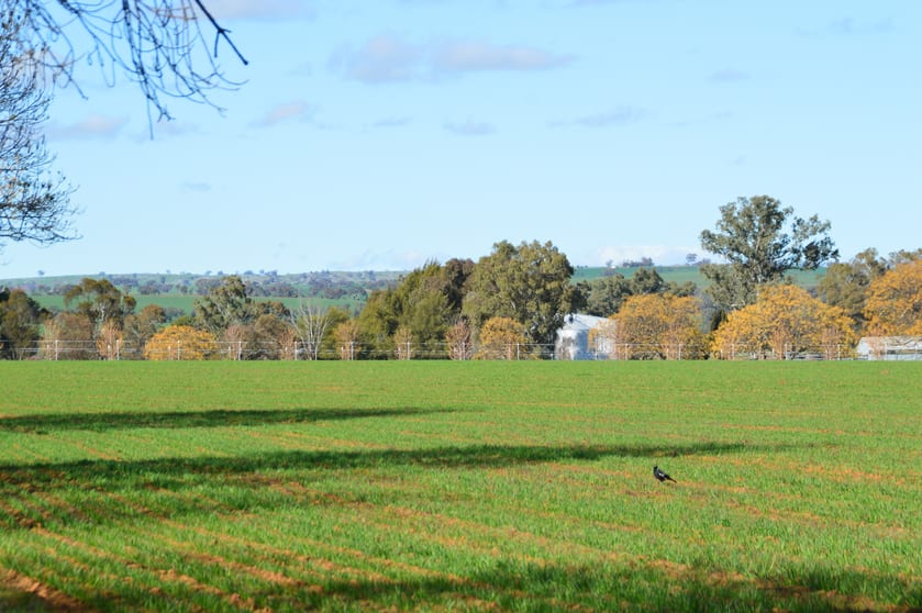 Click to view all images 2856 Olympic Highway Wagga Wagga NSW 2650 - Image 2