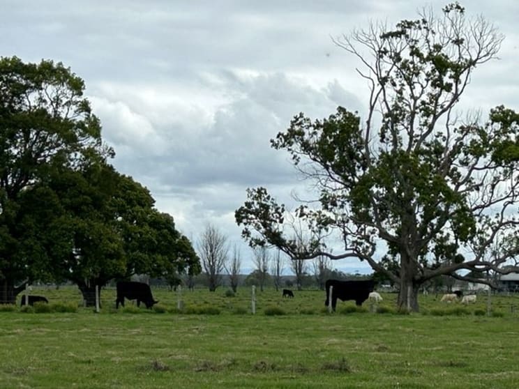 363 Austral Eden Inner Road Austral Eden NSW 2440 - Image 3