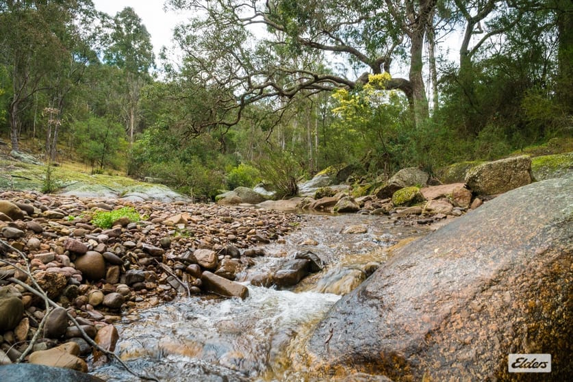 Click to view all images 93 Ramble Lane Brogo NSW 2550 - Image 3