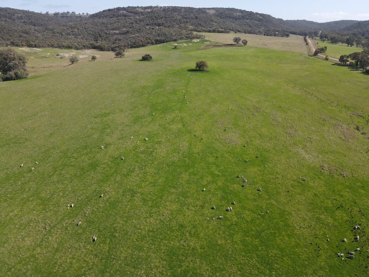 Click to view all images "Glenroy" 165 Bald Hills Road Grenfell NSW 2810 - Image 2