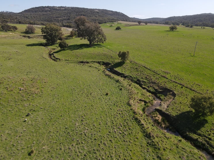 Click to view all images "Glenroy" 165 Bald Hills Road Grenfell NSW 2810 - Image 3