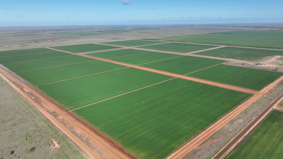 Click to view all images "Waringah" Mabins Well Road Conargo NSW 2710 - Image 2