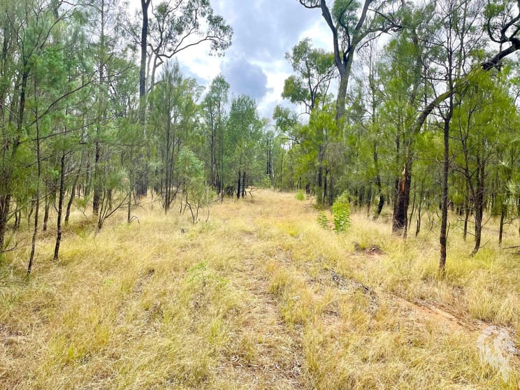 Click to view all images 7/1037 Westport Road Jacks Creek NSW 2390 - Image 2