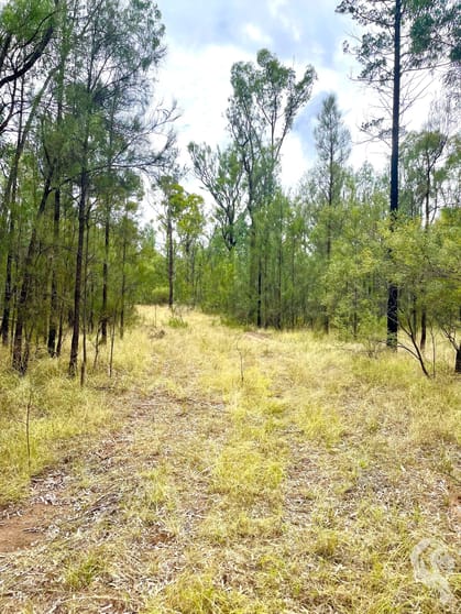 Click to view all images 7/1037 Westport Road Jacks Creek NSW 2390 - Image 3