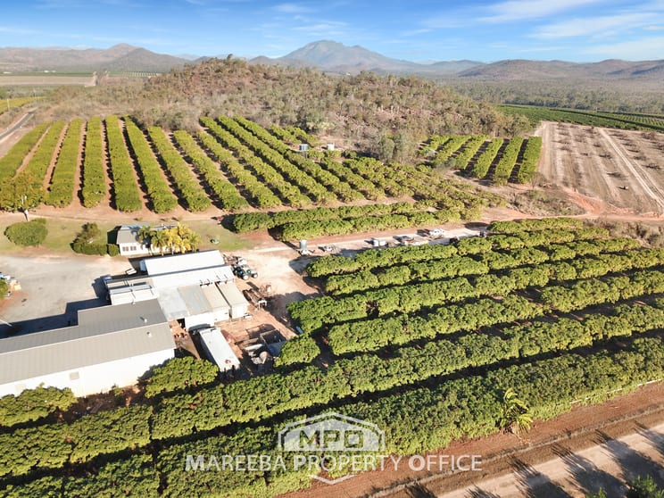 Click to view all images 1151 Leafgold Weir Road Dimbulah QLD 4872 - Image 1