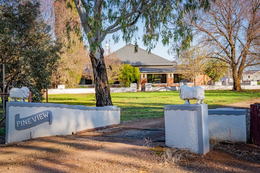 Click to view all images 'Pineview', 1440 Coolamon Road Mimosa NSW 2666 - Image 1