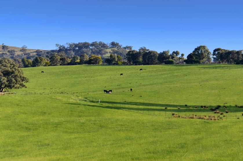 Click to view all images Hillgrove 1097 Keajura Road Ladysmith NSW 2652 - Image 1