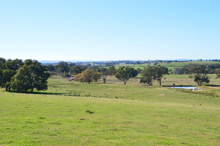 Click to view all images Hillgrove 1097 Keajura Road Ladysmith NSW 2652 - Image 3