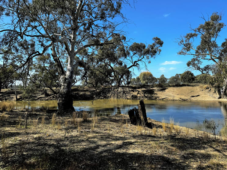 Click to view all images "Cumnock Creek" Brassi Road Deniliquin NSW 2710 - Image 2