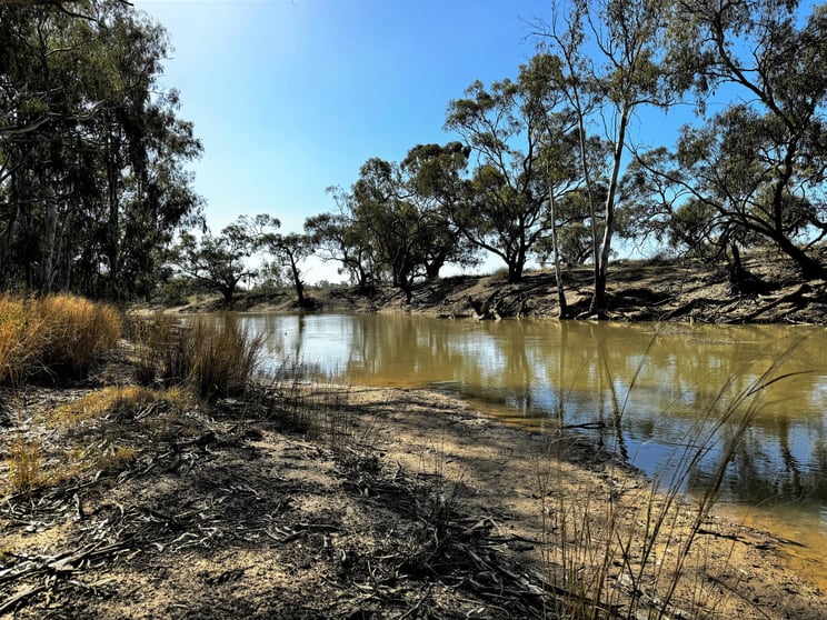 Click to view all images "Cumnock Creek" Brassi Road Deniliquin NSW 2710 - Image 3