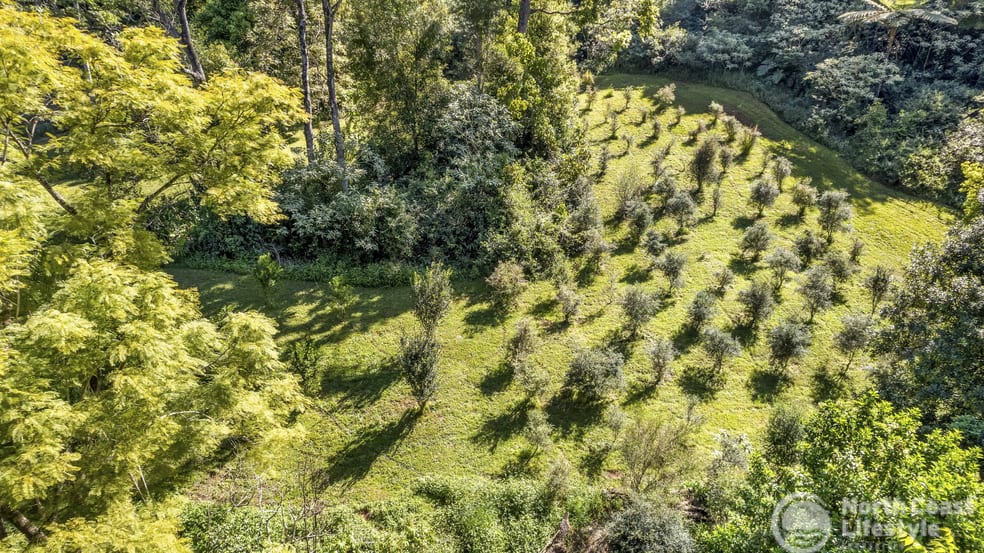Click to view all images 744 Upper Burringbar Road Upper Burringbar NSW 2483 - Image 3