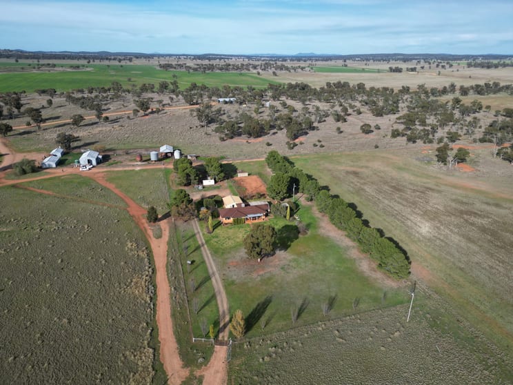 Click to view all images 'Nyrang' 3013 Mid Western Highway North Yalgogrin NSW 2671 - Image 2