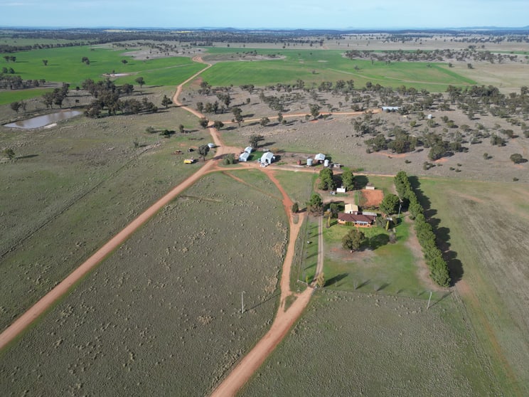 Click to view all images 'Nyrang' 3013 Mid Western Highway North Yalgogrin NSW 2671 - Image 3