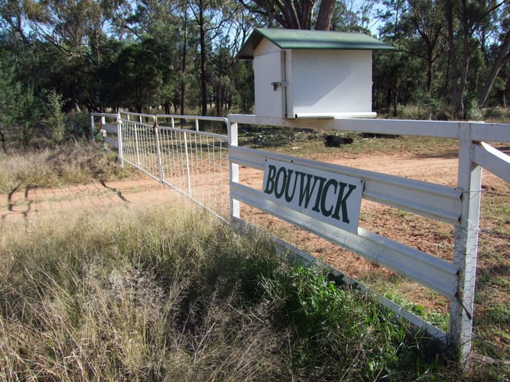 Click to view all images 125-291 GOORIANAWA ROAD Mount Tenandra NSW 2828 - Image 1