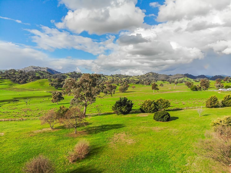 Click to view all images 278 Brungle Road Tumut NSW 2720 - Image 3