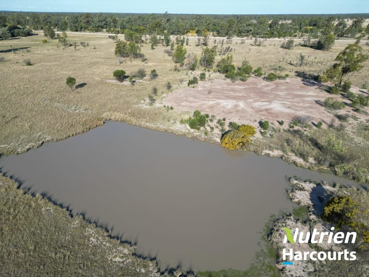 117 Kofoeds Road Tara QLD 4421 - Image 2