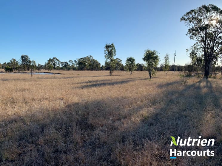 117 Kofoeds Road Tara QLD 4421 - Image 3