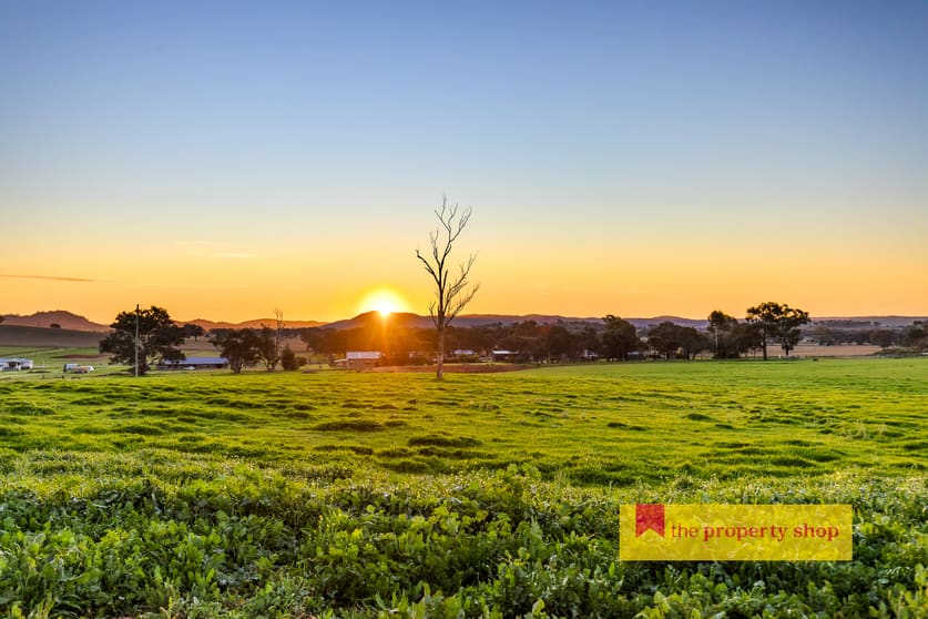 Click to view all images 47 Adams Lead Road Gulgong NSW 2852 - Image 3