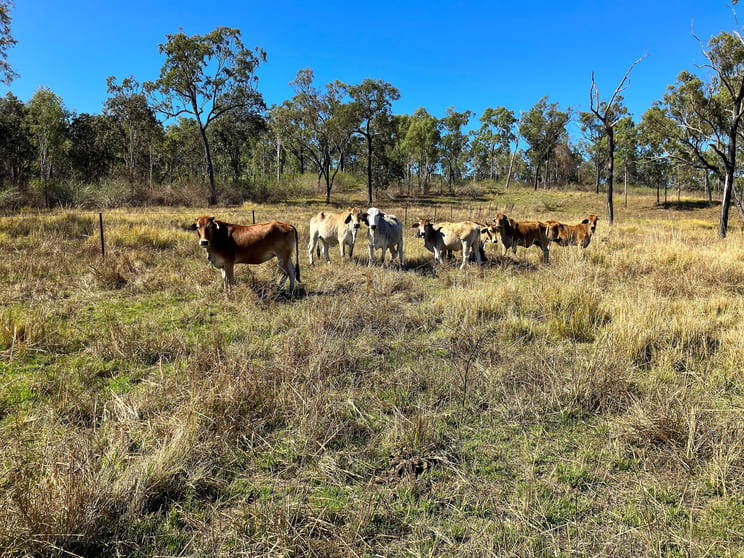 Click to view all images Blue Mountain QLD 4737 - Image 3