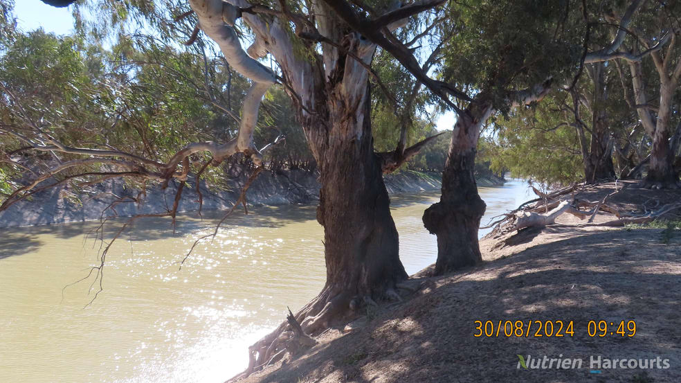 Click to view all images * SALTBUSH, 2389 Curranyalpa Road Tilpa NSW 2840 - Image 2