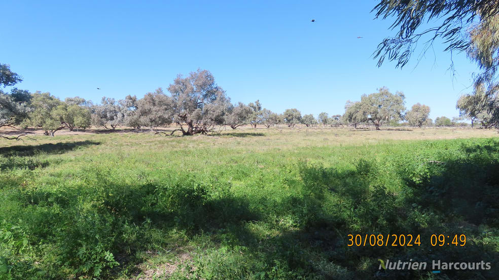 Click to view all images * SALTBUSH, 2389 Curranyalpa Road Tilpa NSW 2840 - Image 3