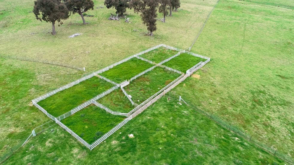 674 Kangaloolah Road Binda NSW 2583 - Image 3