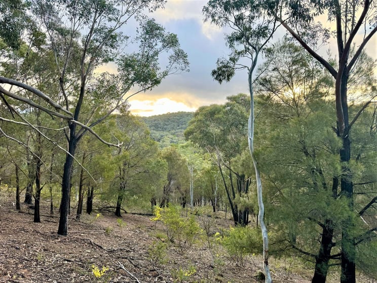Click to view all images Lot 189 Marble Hill Road Goulburn NSW 2580 - Image 2