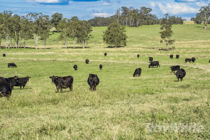 4469 Clarence Town Road Dungog NSW 2420 - Image 2