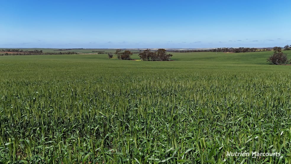 Click to view all images 5670 Soldiers Road West Holleton WA 6369 - Image 2