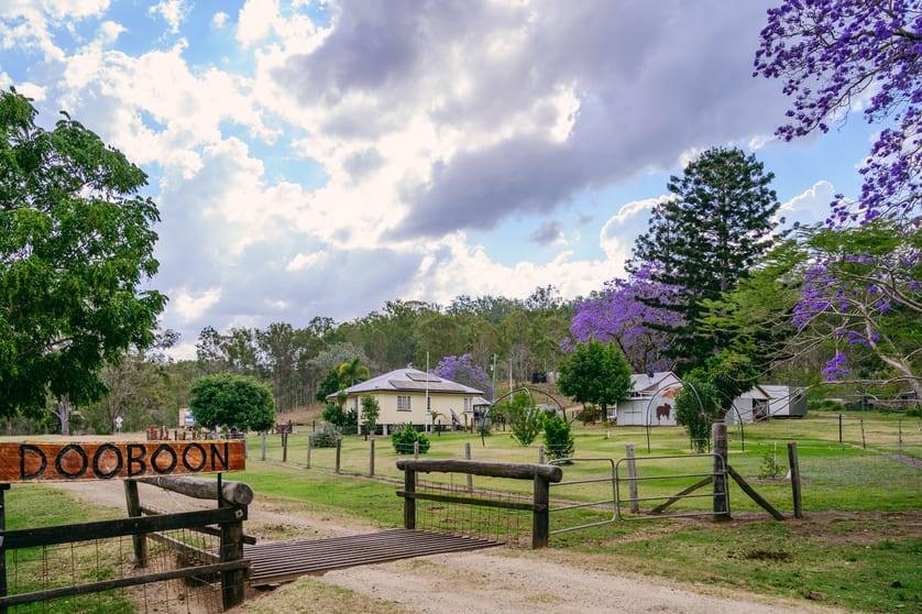 1442 Mount Hector Road Boyne Valley QLD 4680 - Image 2