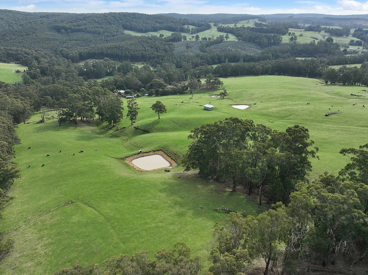 Click to view all images 1915 Colac-Lavers Hill Road Kawarren VIC 3249 - Image 2
