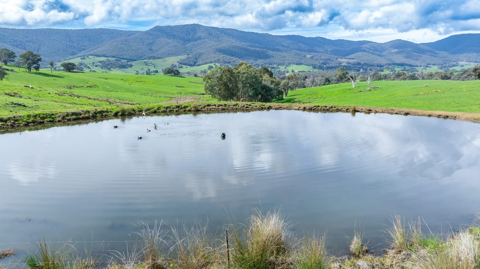 Click to view all images 1038 Sandy Creek Road Sandy Creek VIC 3695 - Image 3