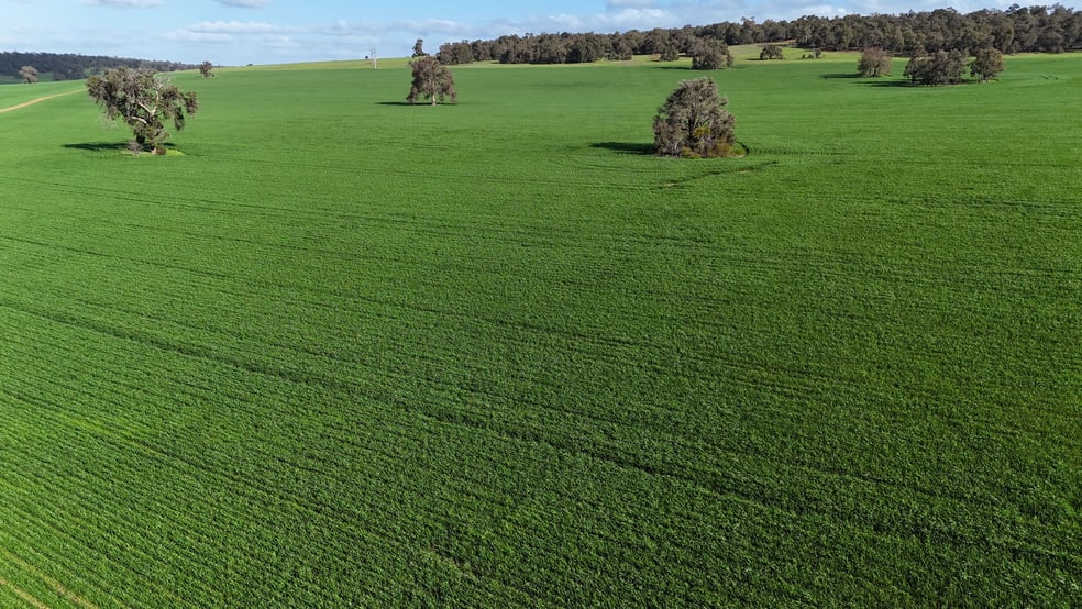 Lot 3203 Fernie Road Morangup WA 6083 - Image 1