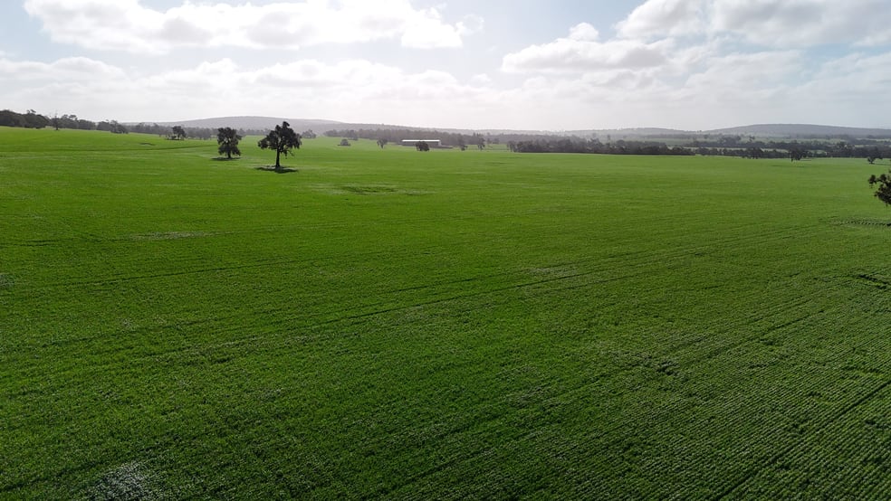 Lot 3203 Fernie Road Morangup WA 6083 - Image 3