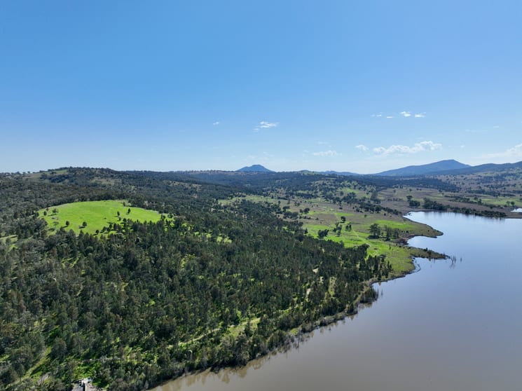 "Tevreda North" 501 Lowes Creek Road Quirindi NSW 2343 - Image 2