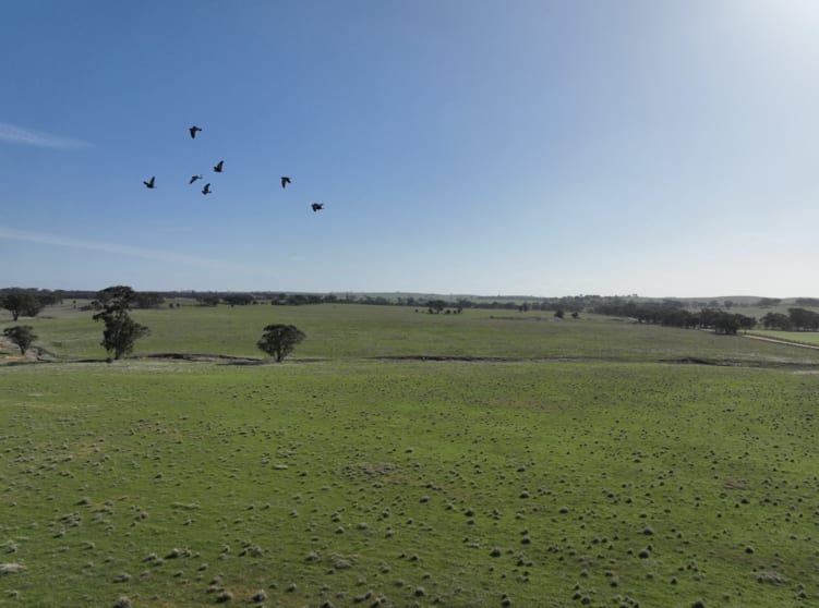 Click to view all images 0 Berrimal-Nine Mile Road Nine Mile VIC 3518 - Image 1