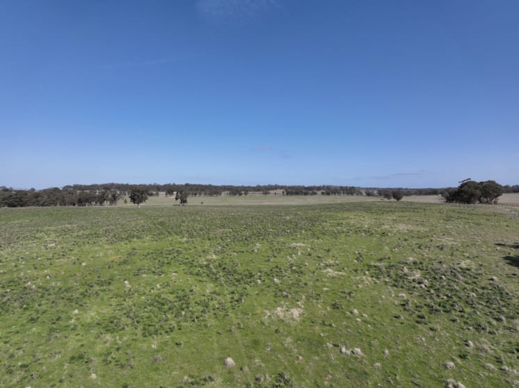 Click to view all images 0 Berrimal-Nine Mile Road Nine Mile VIC 3518 - Image 3