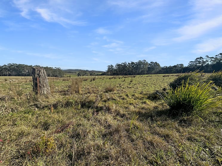 33 Reids Road St Helens TAS 7216 - Image 3