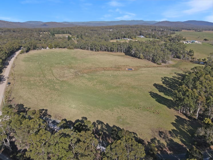 33 Reids Road St Helens TAS 7216 - Image 2