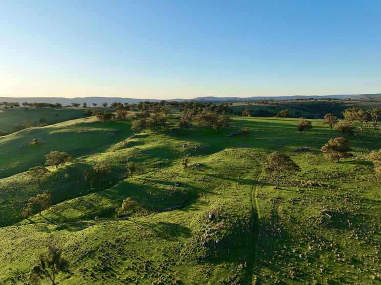 Click to view all images "Jemalong" 263 Collier Road Coolah NSW 2843 - Image 2