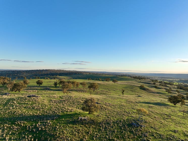Click to view all images "Jemalong" 263 Collier Road Coolah NSW 2843 - Image 1