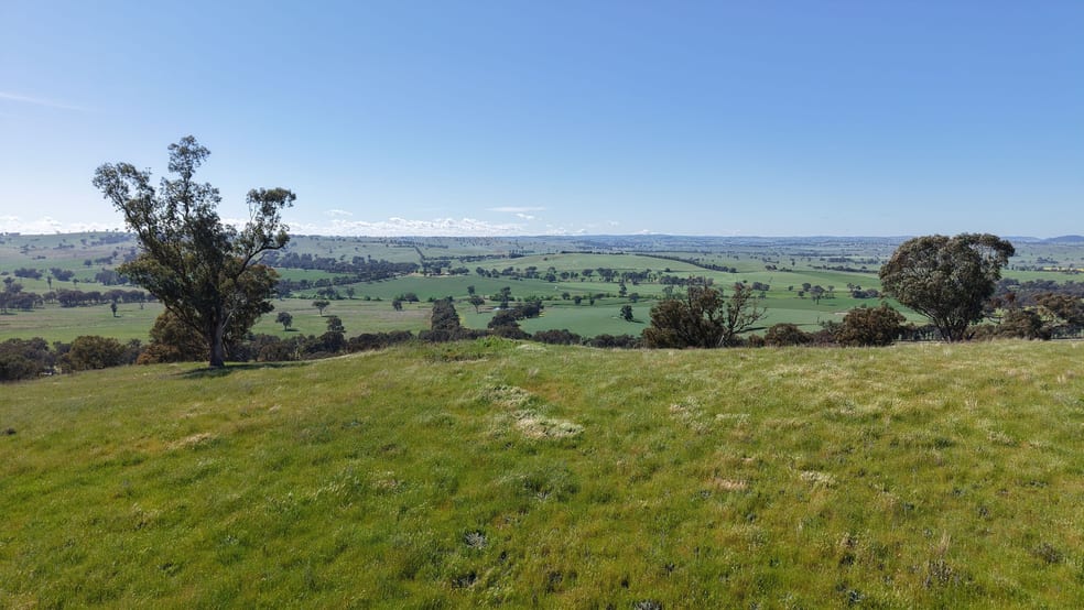 Clunes Dam, Islands Road Cowra NSW 2794 - Image 2