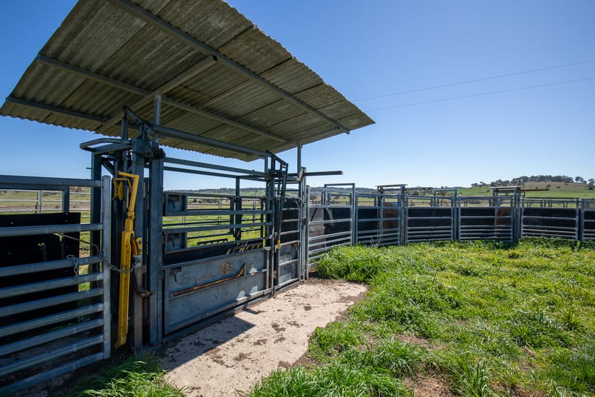 Click to view all images 5016 New England Highway Guyra NSW 2365 - Image 3
