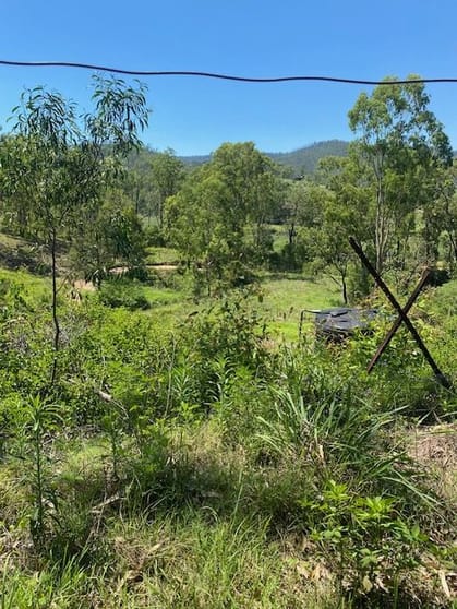 Click to view all images Lot 22 Paddys Flat Road Tabulam NSW 2469 - Image 2