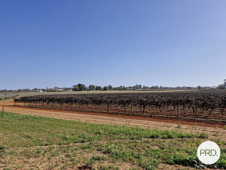 Click to view all images C.A 135 Cowanna Avenue South Merbein South VIC 3505 - Image 1