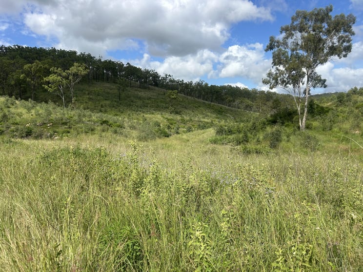 Click to view all images 789 Coppin Rd Monto QLD 4630 - Image 2