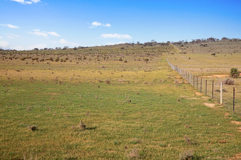 Click to view all images 'Liddons' Gillies Road Ucolta SA 5422 - Image 2